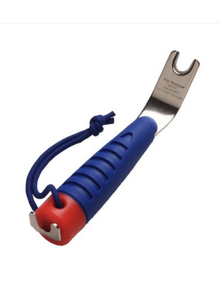 Top-Snapper Canvas Snap Tool